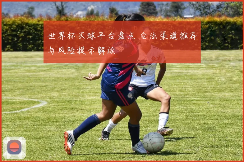 世界杯买球平台盘点 合法渠道推荐与风险提示解读