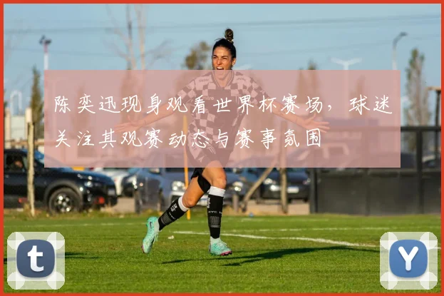 陈奕迅现身观看世界杯赛场，球迷关注其观赛动态与赛事氛围