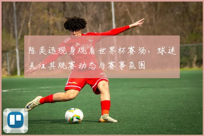 陈奕迅现身观看世界杯赛场,球迷关注其观赛动态与赛事氛围